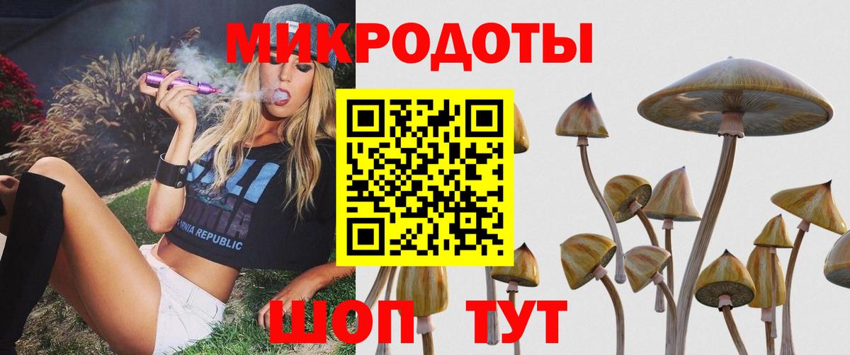 Псилоцибиновые грибы GOLDEN TEACHER  Вход с VPN  где купить наркотик  Шарыпово 